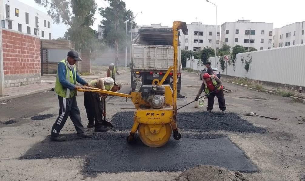 04BACHES4