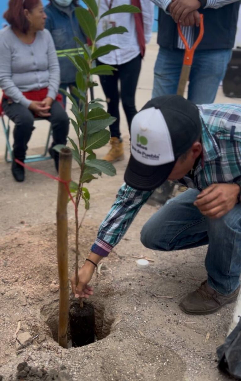 09ARBOL3