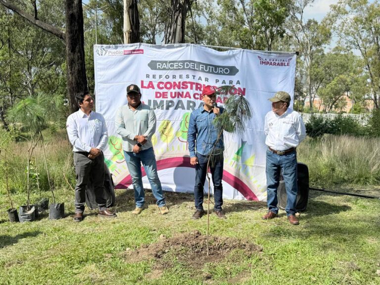 16ARBOL
