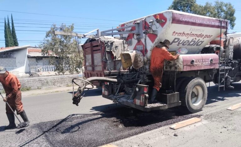 28BACHES2