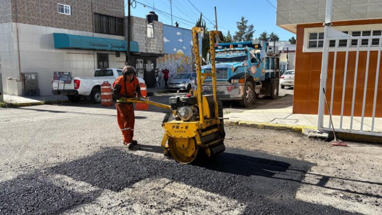 29baches6