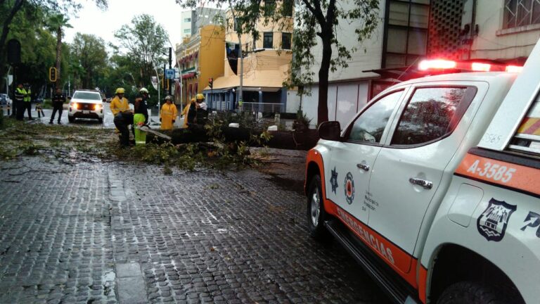 IMG-20250903-WA0059