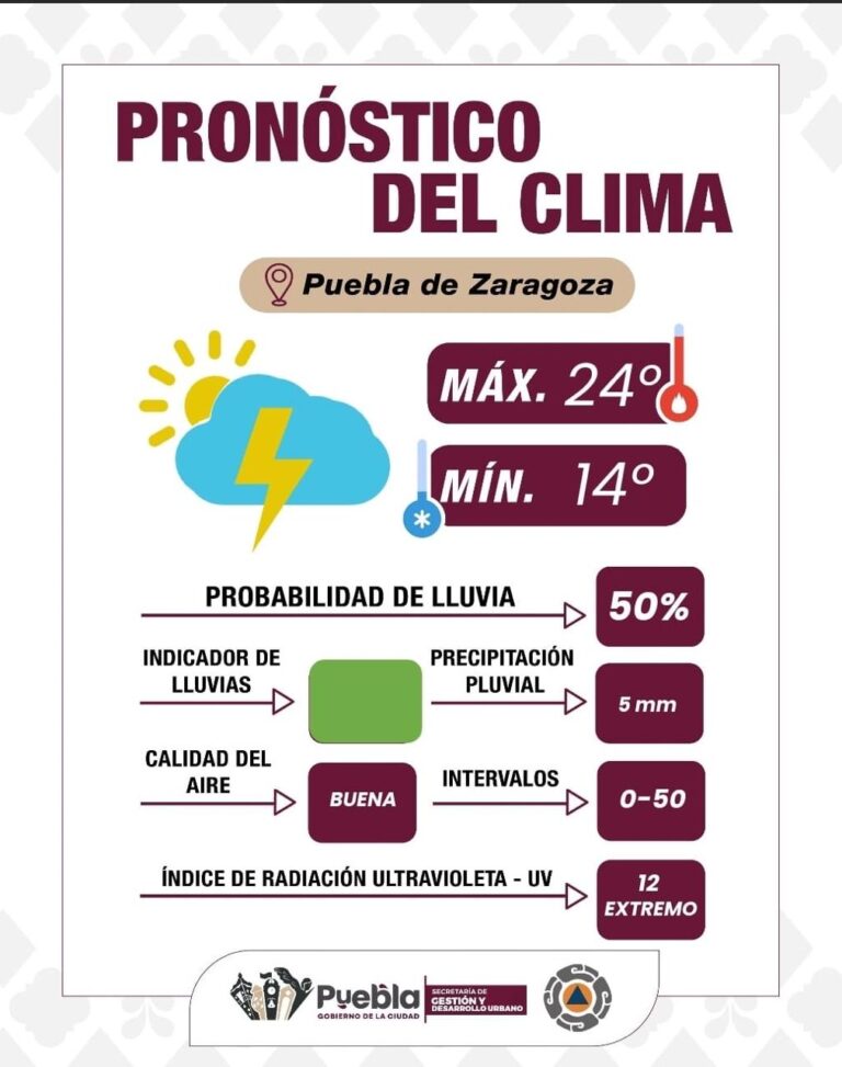 Imagen de WhatsApp 2025-09-03 a las 09.27.10_191713a8
