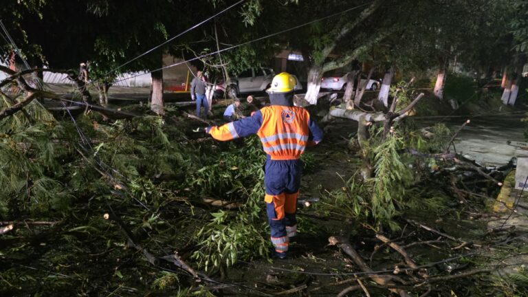 Imagen de WhatsApp 2025-09-04 a las 08.28.07_2e82379e
