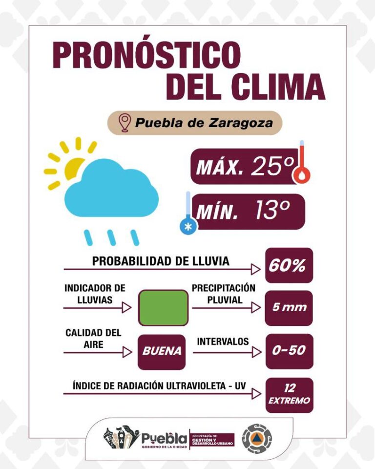 Imagen de WhatsApp 2025-09-05 a las 18.12.27_a9899d95