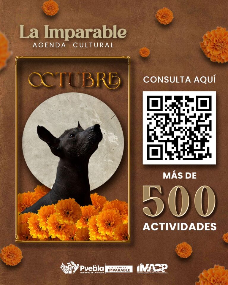 Imagen de WhatsApp 2025-10-03 a las 12.25.07_3e7aaa19