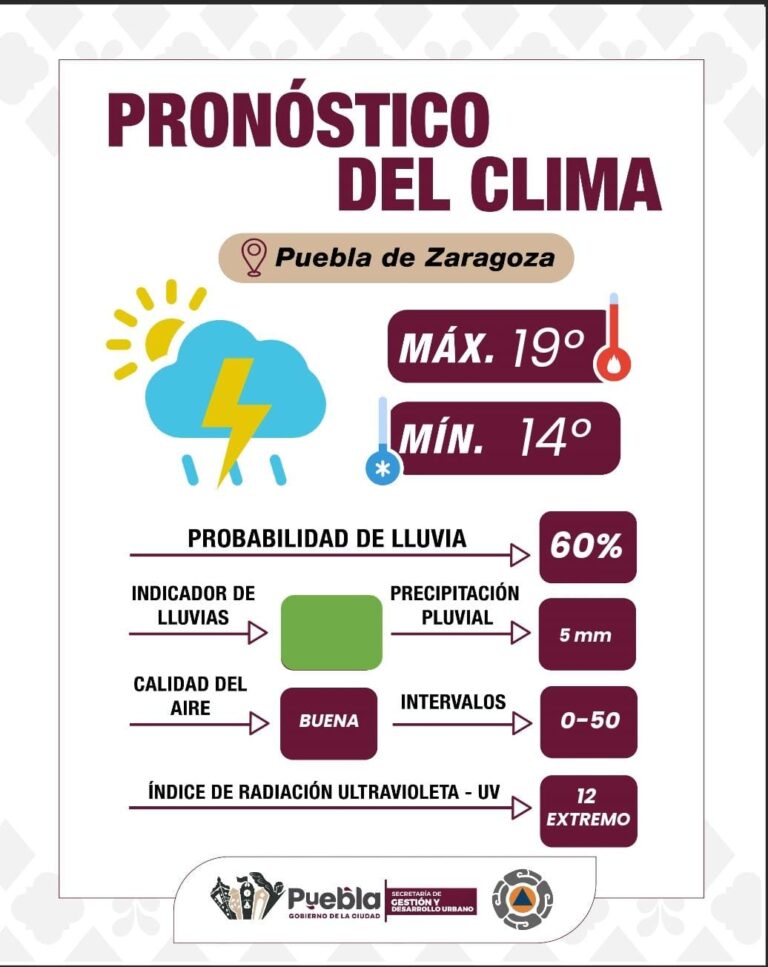 Imagen de WhatsApp 2025-10-09 a las 18.47.47_f62d1d8e