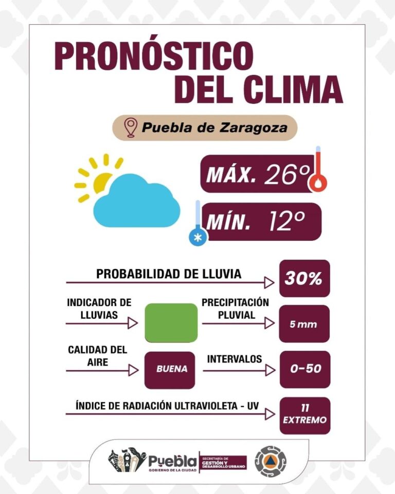 Imagen de WhatsApp 2025-10-11 a las 18.02.23_097f42bc