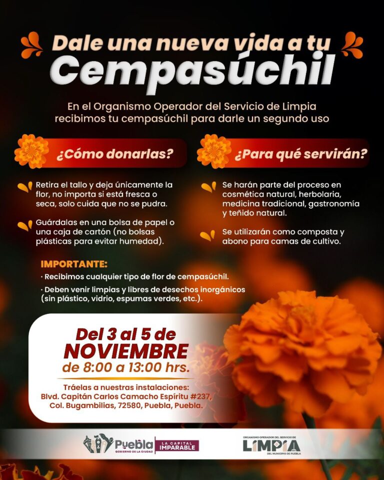 Imagen de WhatsApp 2025-11-01 a las 09.55.52_3aa2faf3