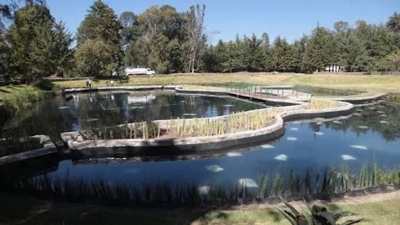 WhatsApp Image 2025-12-20 at 3.46.29 PM (2)