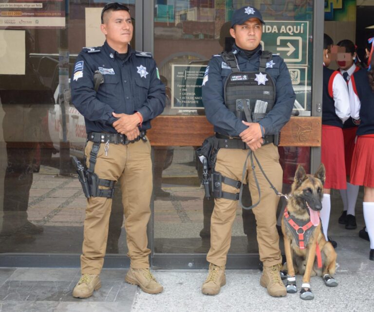 507e0f02-2406-4237-a853-68458605f1f2