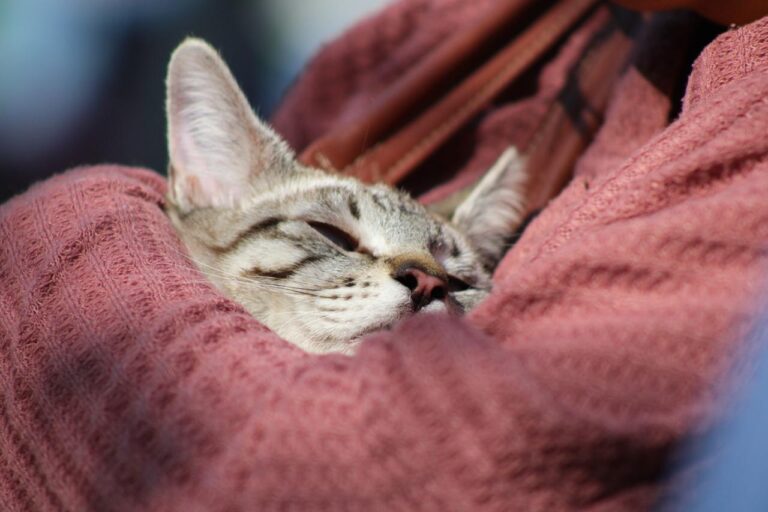 WhatsApp Image 2026-01-05 at 7.17.19 AM (1)