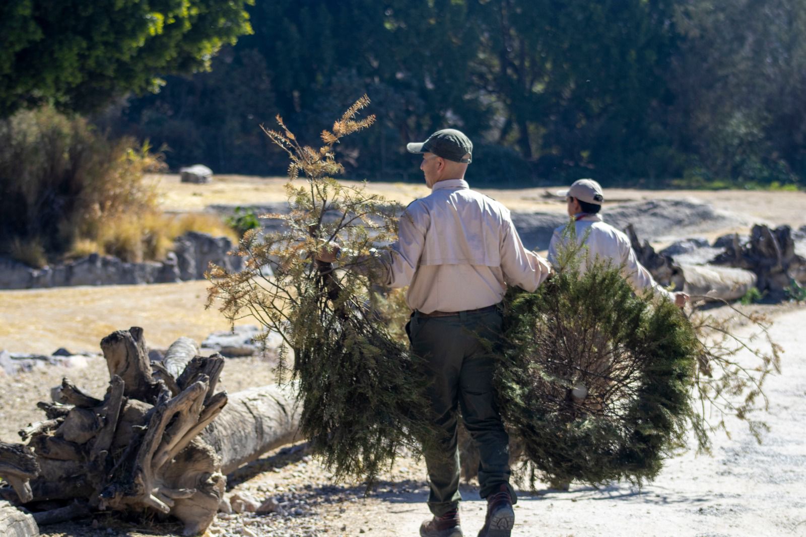 WhatsApp Image 2026-01-05 at 7.17.38 AM