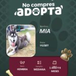 877fce2a-35f6-4cb8-aef7-f6231c79481f