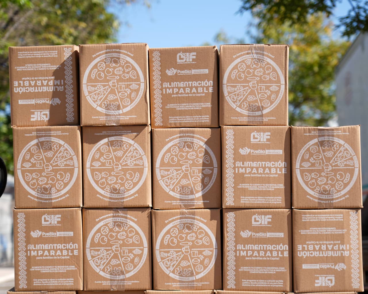 WhatsApp Image 2026-02-13 at 1.38.11 PM (1)