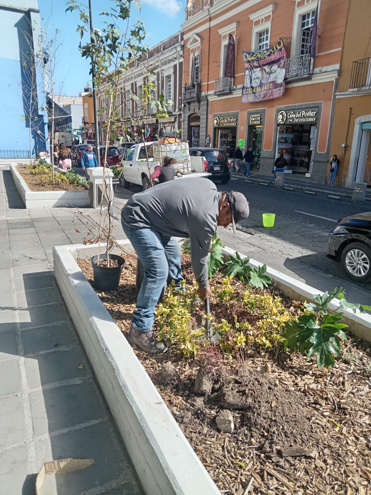 WhatsApp Image 2026-02-15 at 12.38.37 PM