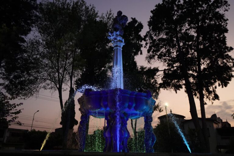 WhatsApp Image 2026-02-17 at 7.27.05 AM