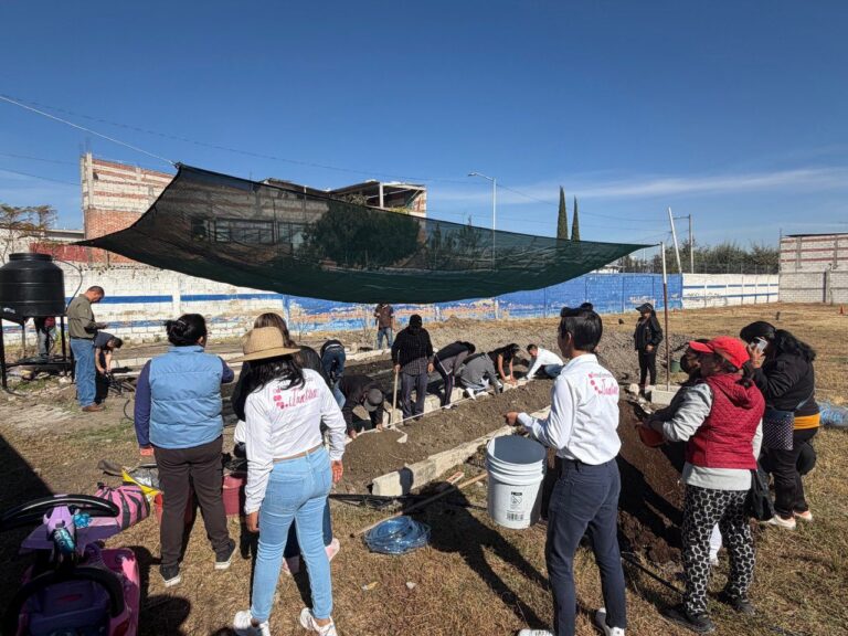 c59459f1-eb72-4bb4-b231-284e8fe0c756