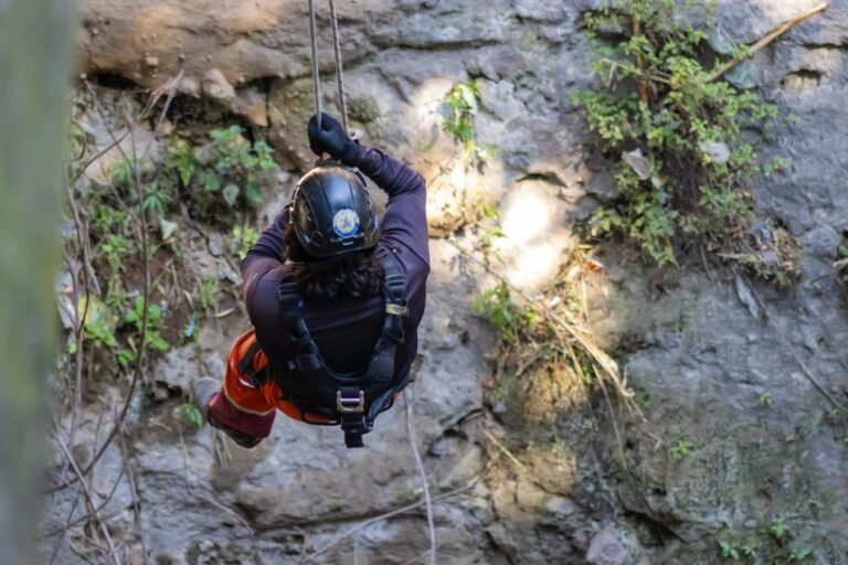 192af336-46f3-490b-963c-a112009b68ec