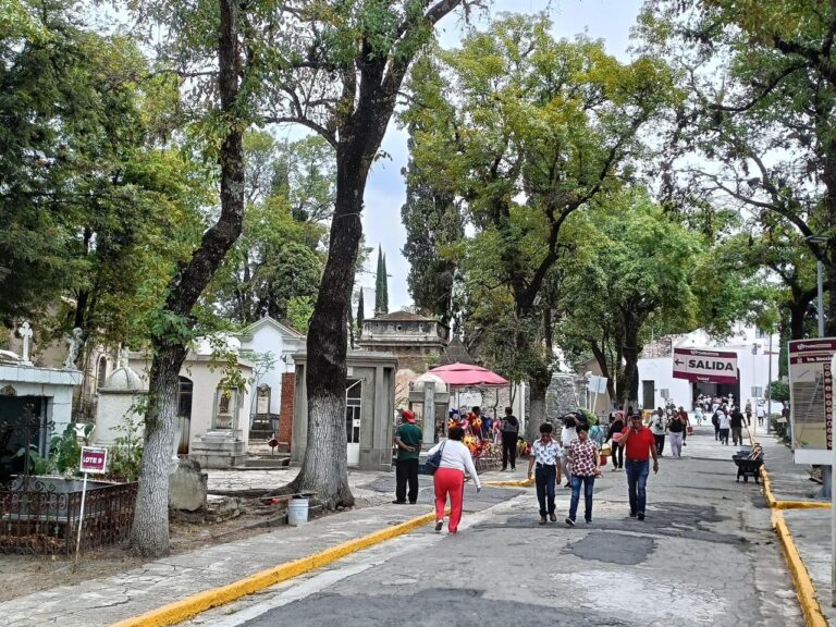 51aee064-3d60-4806-847e-f49fb9e426f9