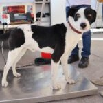 766e2cba-8dc6-44ed-9f55-c3fb3e7049da