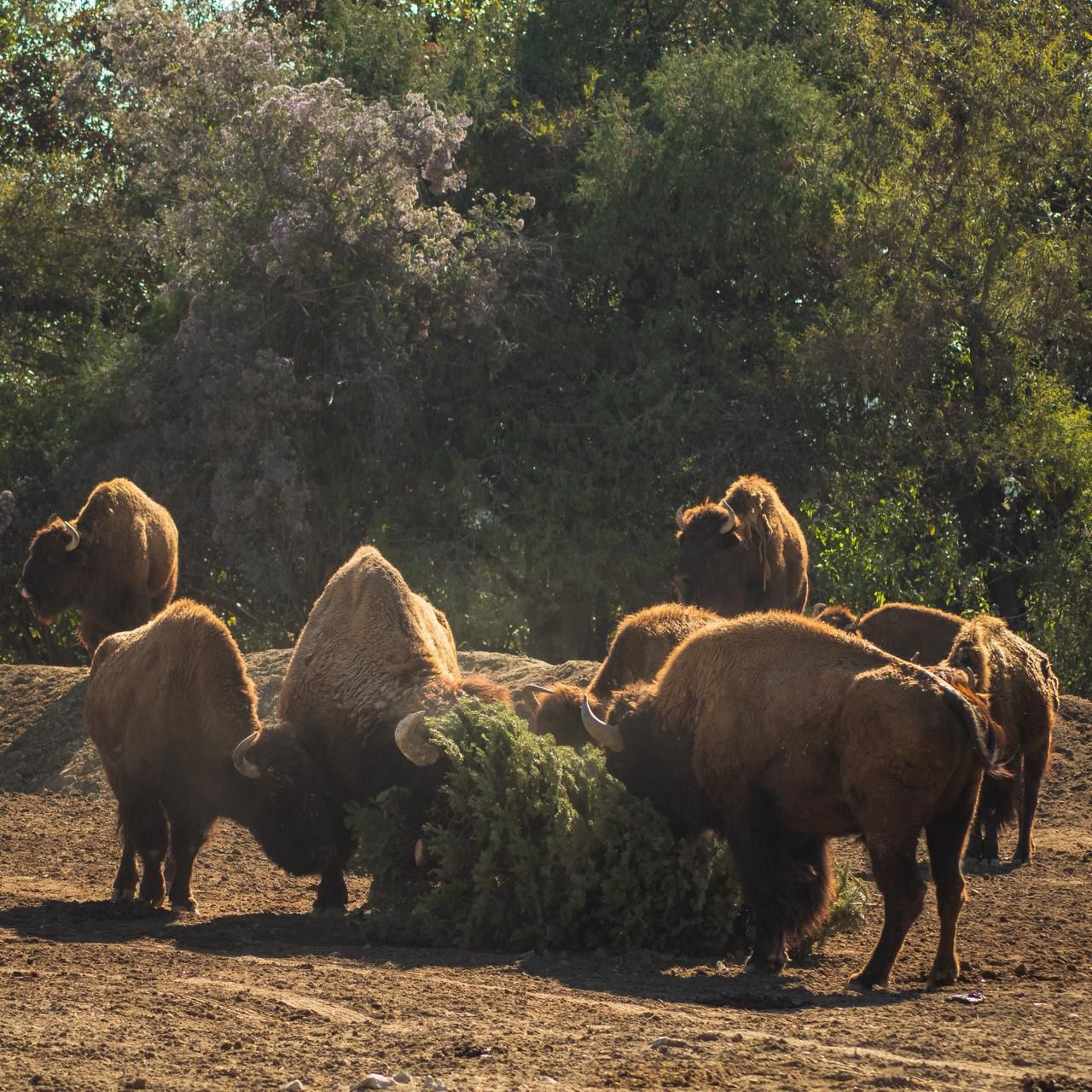 870d56d3-d994-4251-974e-d48d9e59f20f