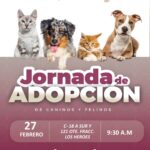 d0ba94a2-0127-4b87-a1f7-d6ca86f67da6