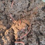 d3803ddd-a50c-4d85-a817-896a1da4c699