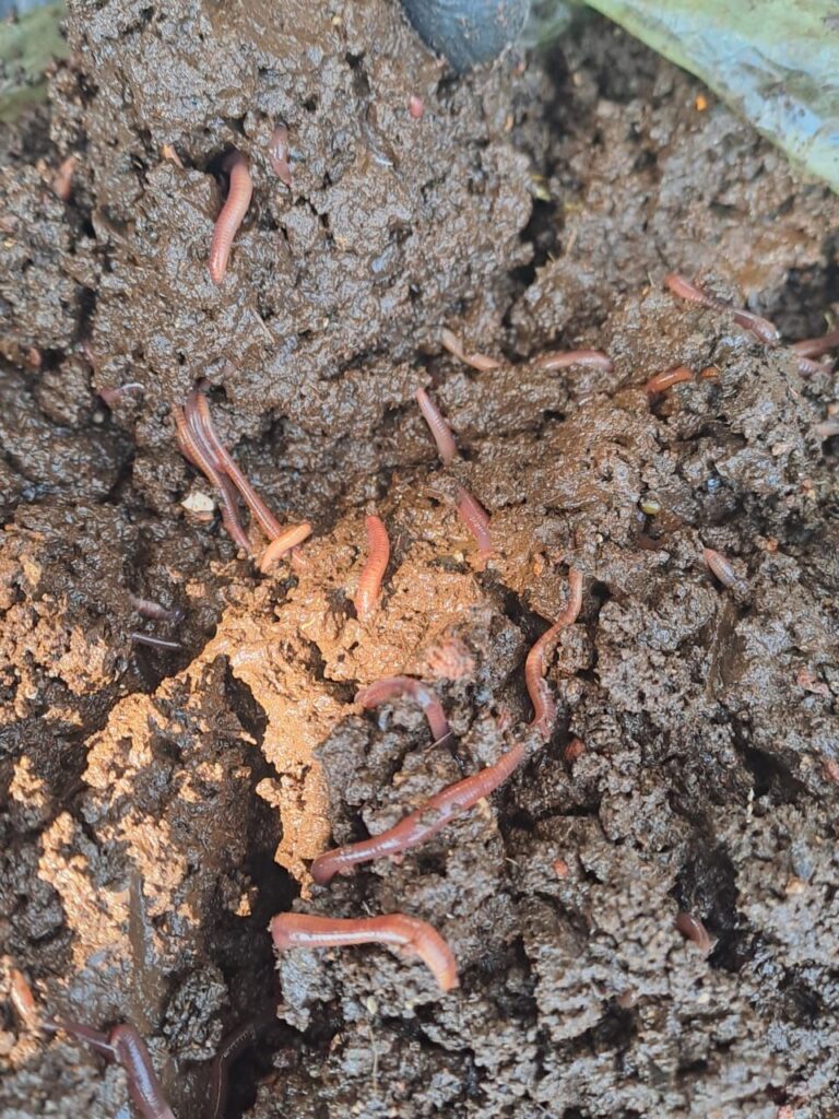 d3803ddd-a50c-4d85-a817-896a1da4c699