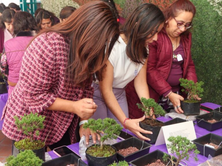 de6cce77-2efc-4dea-ba98-39de22a54ab8