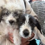 01226a88-b810-474d-9f78-695d1f0a8641