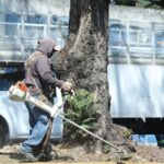 3c0682a5-d01f-42f0-a680-afd4c51e46a2