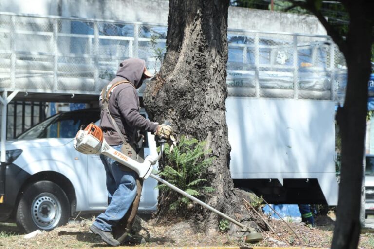 3c0682a5-d01f-42f0-a680-afd4c51e46a2