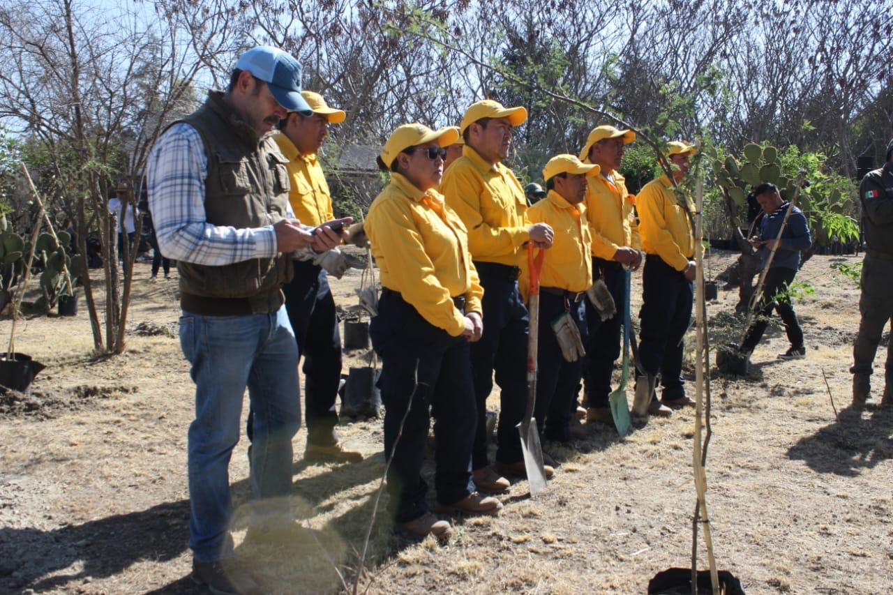 imagen_2026-04-19_013125352