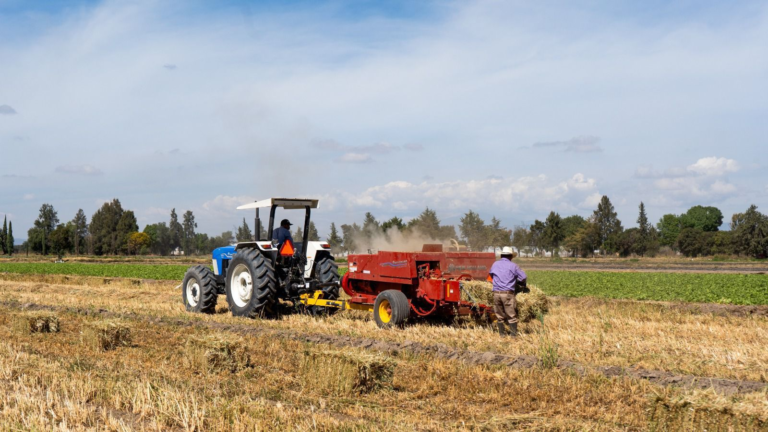 imagen_2026-04-19_014008716