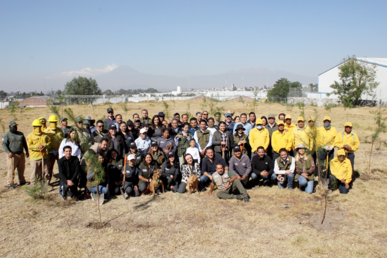 imagen_2026-04-19_171759937