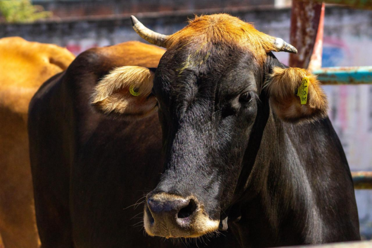 imagen_2026-04-19_183359689