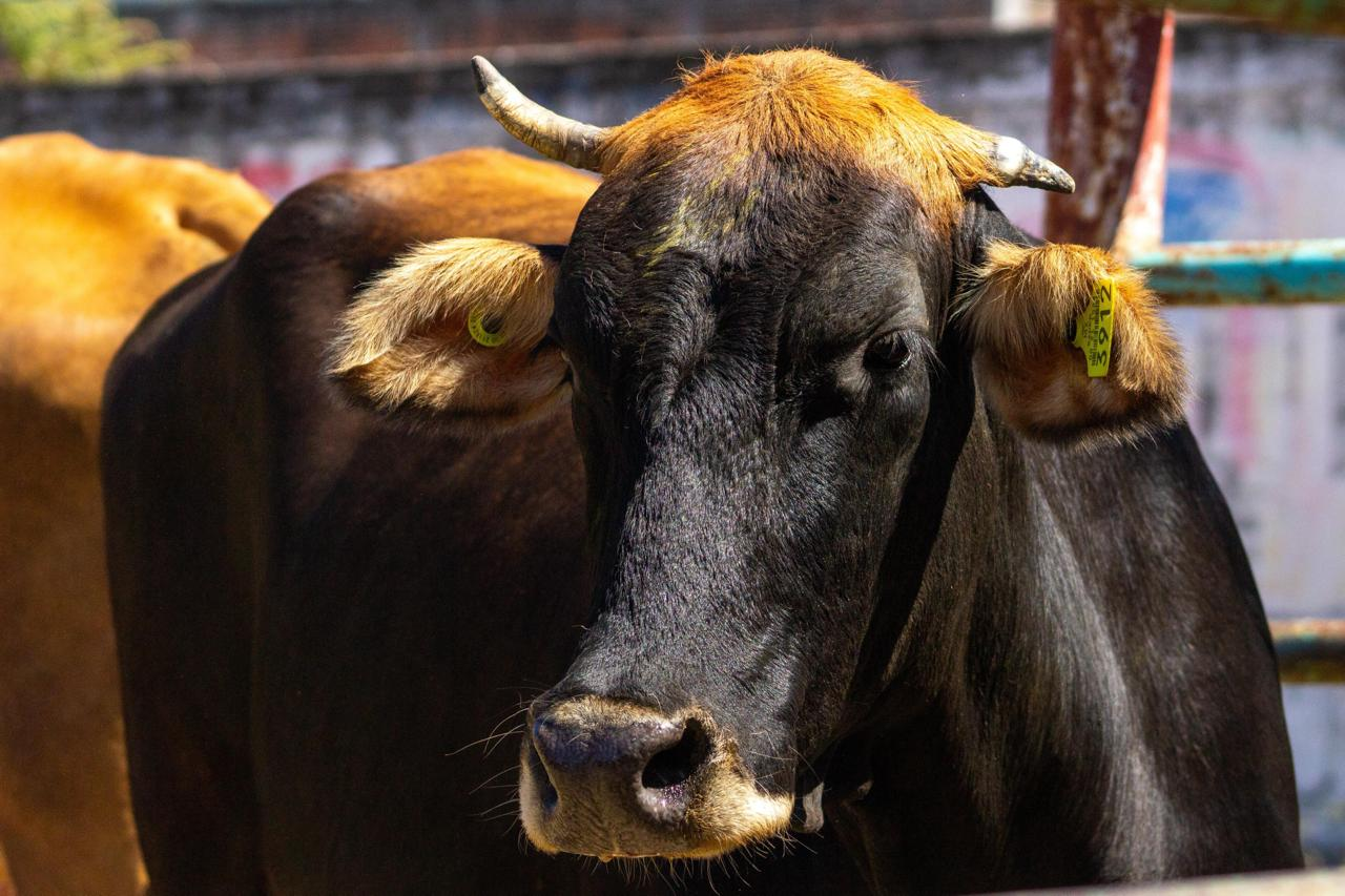 imagen_2026-04-19_183359689