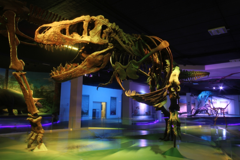 imagen_2026-04-19_183859590