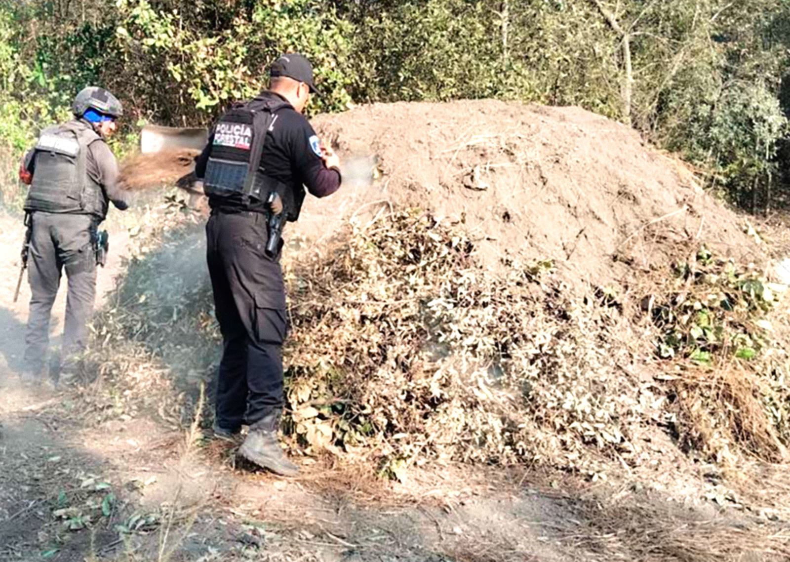 imagen_2026-04-19_234823621