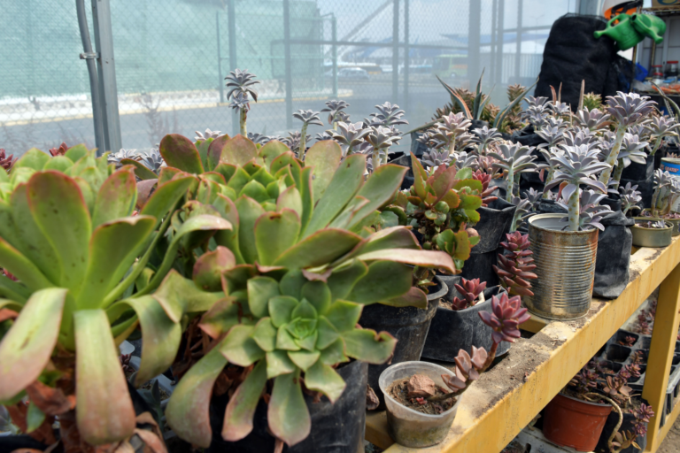 imagen_2026-04-20_013919306