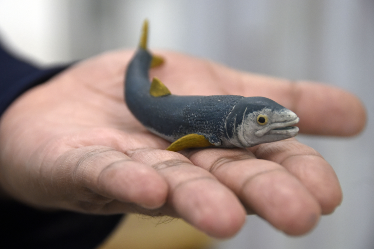 imagen_2026-04-20_022024225