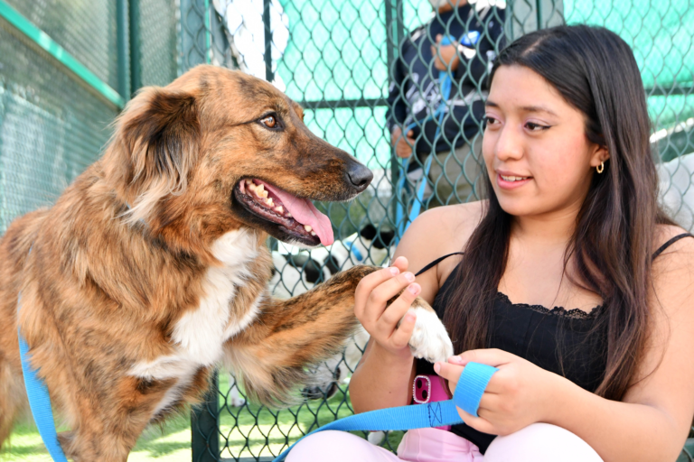 imagen_2026-04-28_021039397